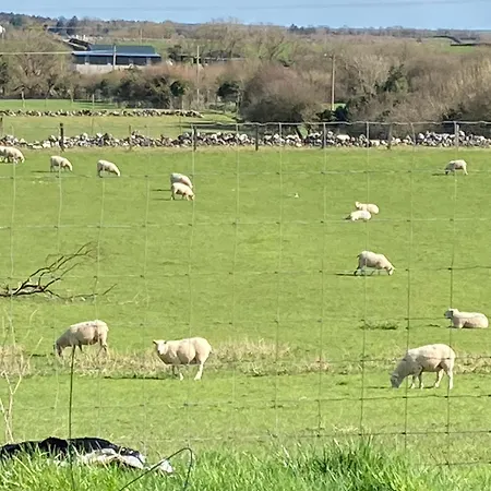 Lough Carra House Bed and Breakfast Partry