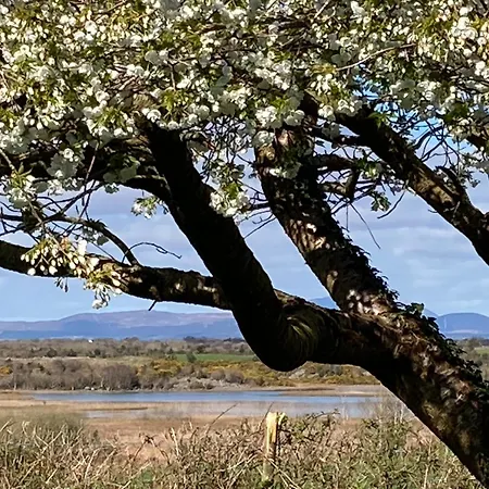 Bed and Breakfast Lough Carra House Partry