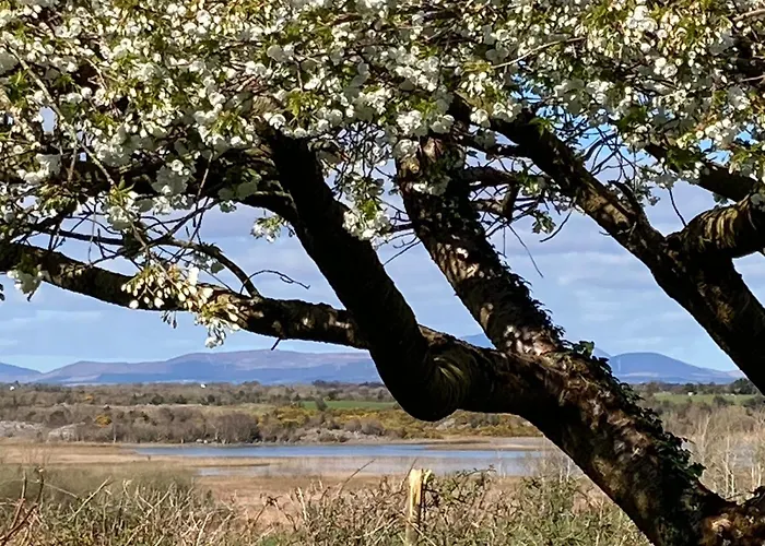 B&B Lough Carra House Partry